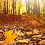 What is autumnal asthenia?